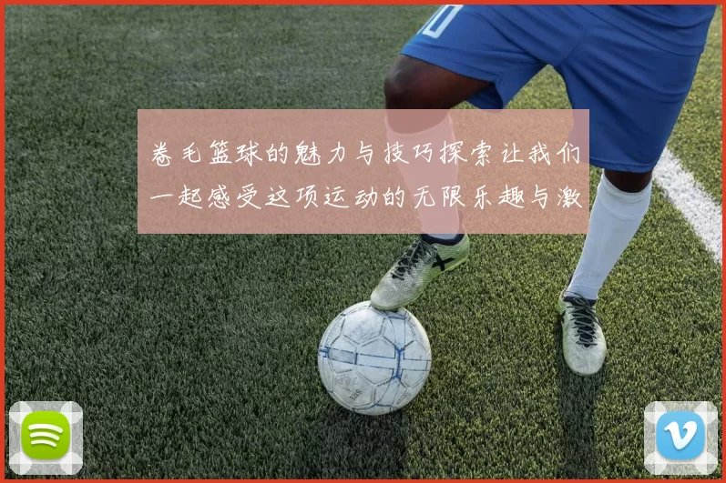 卷毛篮球的魅力与技巧探索让我们一起感受这项运动的无限乐趣与激情