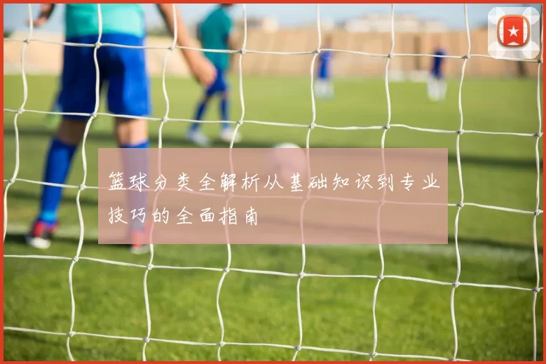 篮球分类全解析从基础知识到专业技巧的全面指南