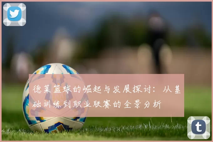 德莱篮球的崛起与发展探讨：从基础训练到职业联赛的全景分析