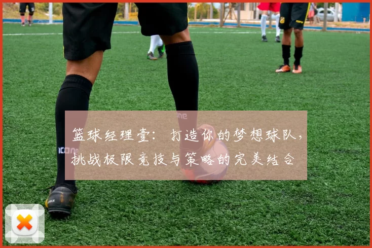 篮球经理壹：打造你的梦想球队，挑战极限竞技与策略的完美结合